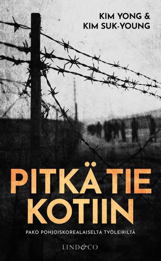 Pitkä tie kotiin – E-bok