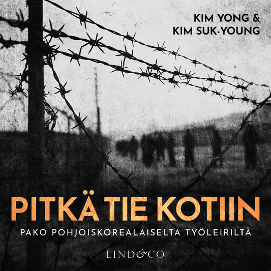 Pitkä tie kotiin – Ljudbok