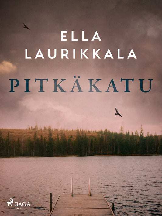 Pitkäkatu – E-bok