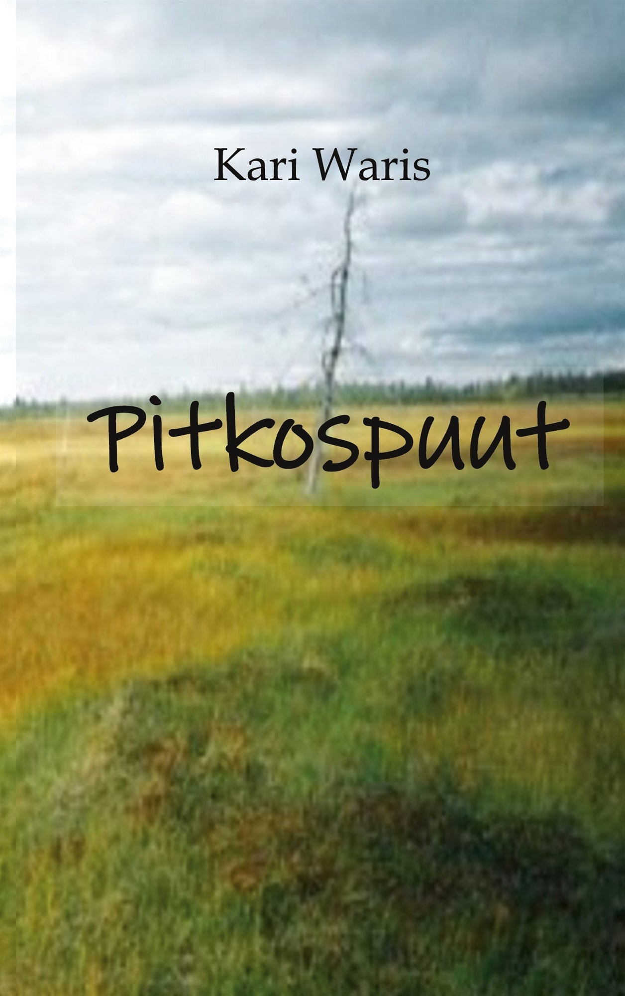 Pitkospuut: Runoja – E-bok