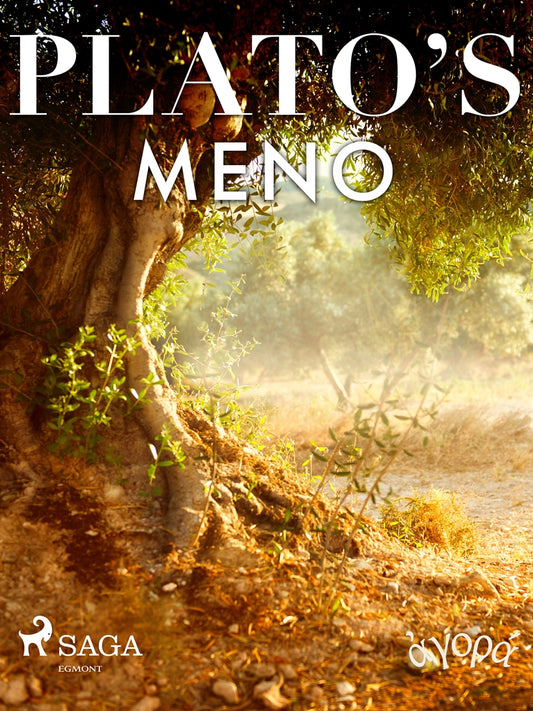 Plato’s Meno – E-bok