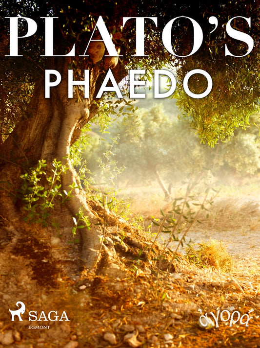 Plato’s Phaedo – E-bok