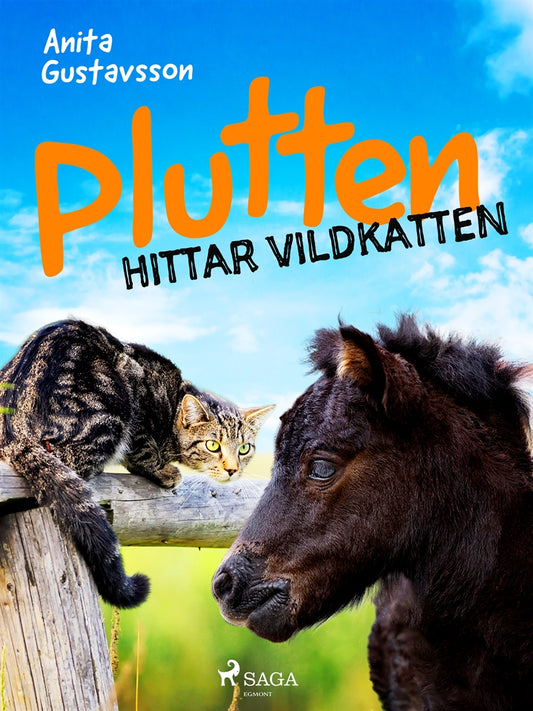 Plutten hittar vildkatten – E-bok