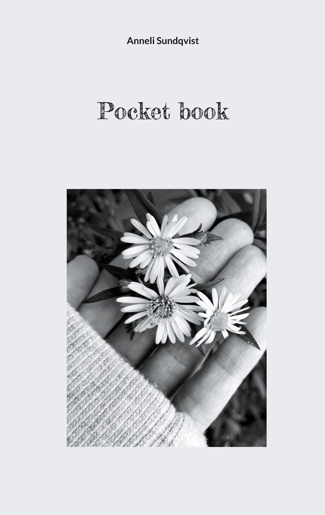 Pocket book – E-bok