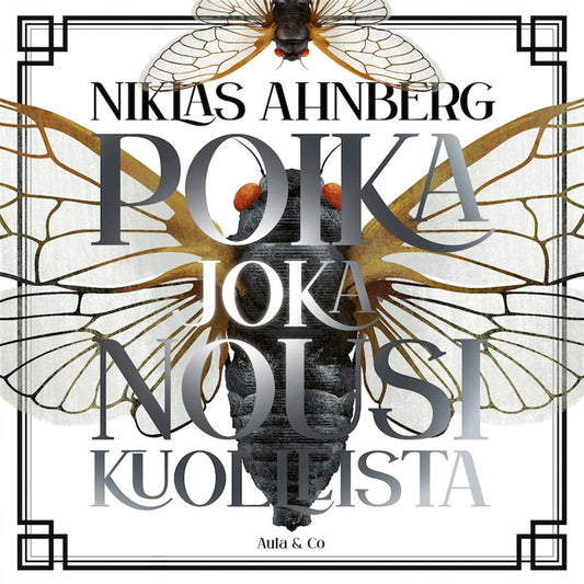 Poika joka nousi kuolleista – Ljudbok