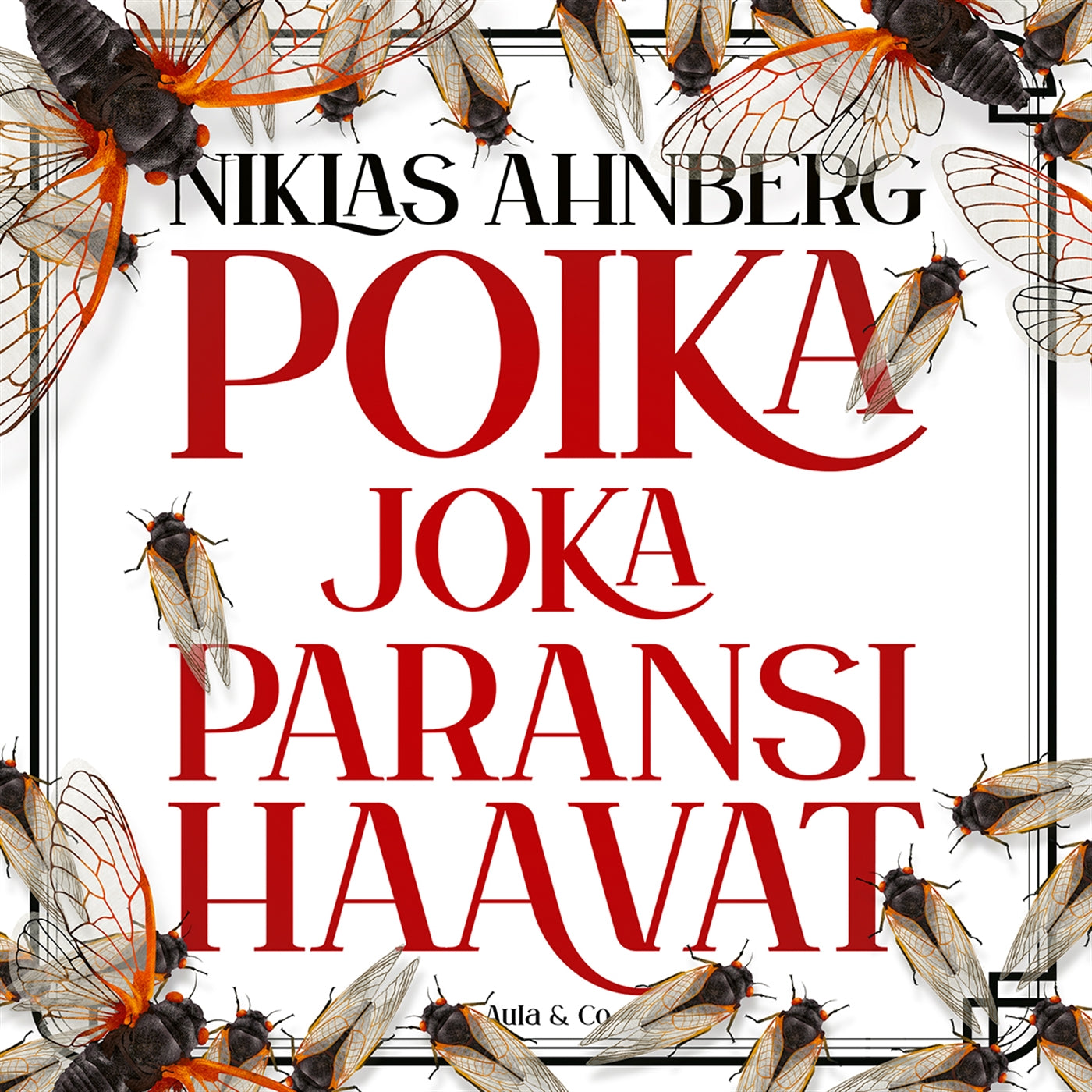 Poika joka paransi haavat – Ljudbok