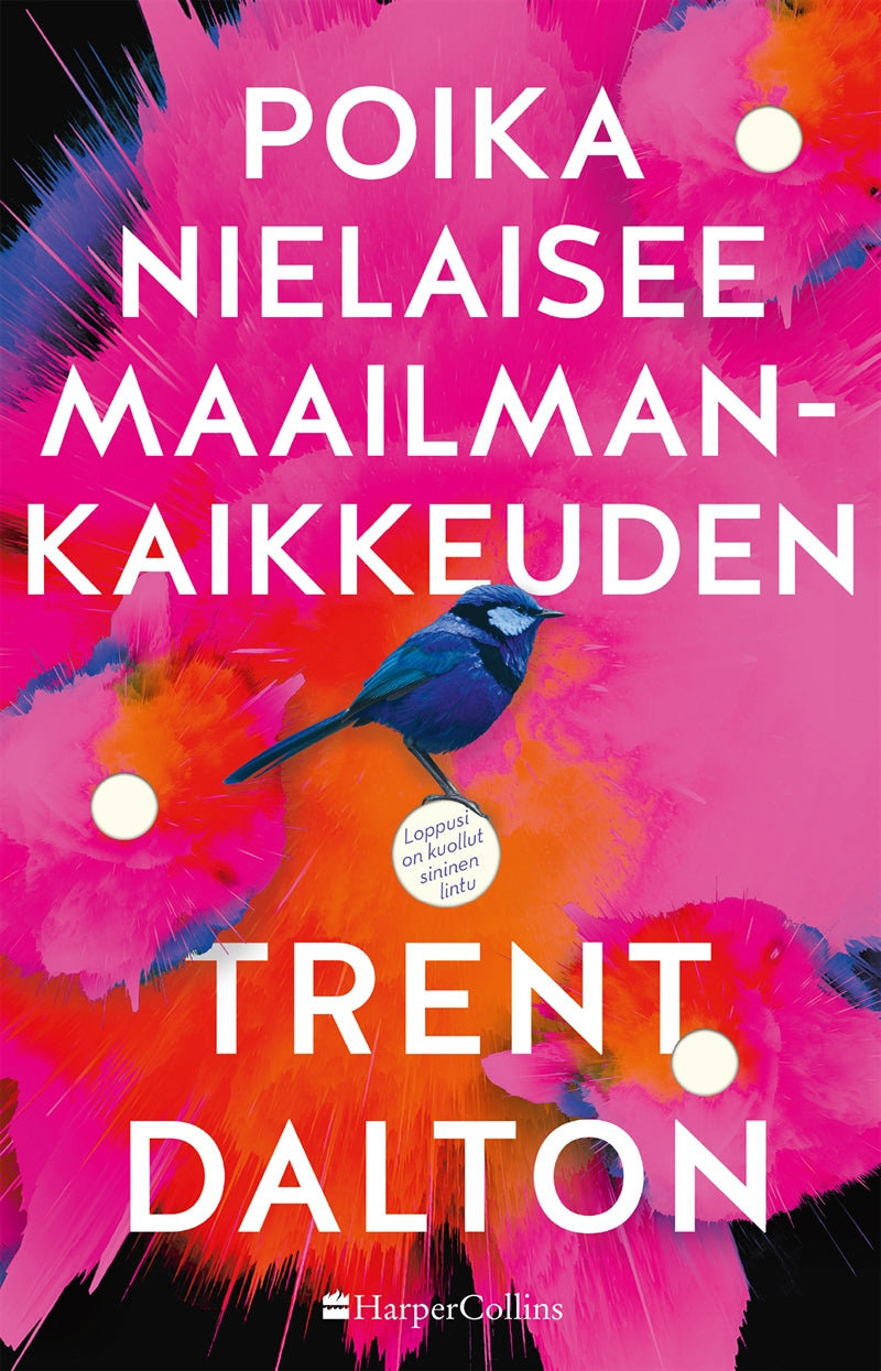 Poika nielaisee maailmankaikkeuden – E-bok