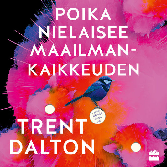 Poika nielaisee maailmankaikkeuden – Ljudbok