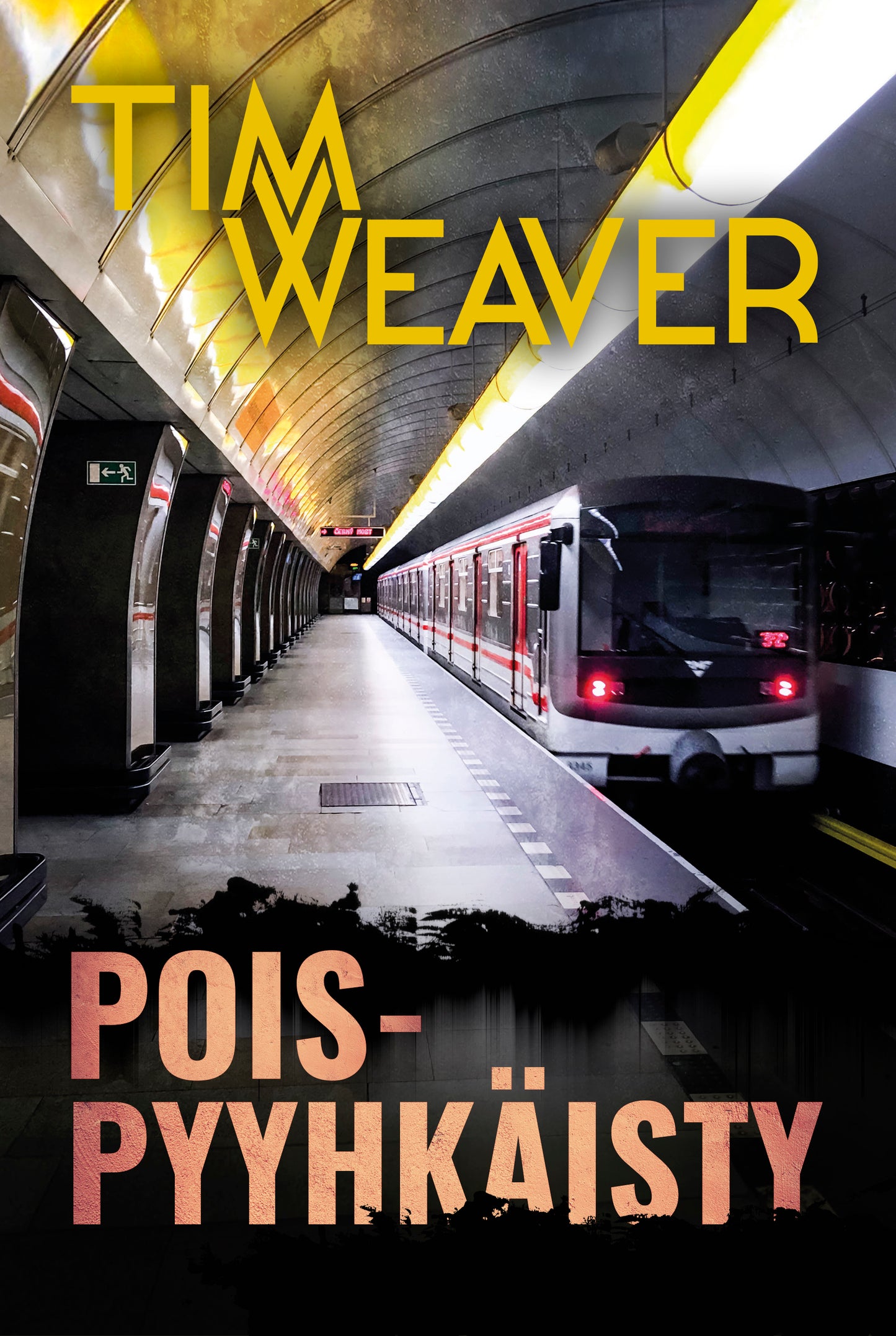 Poispyyhkäisty – E-bok