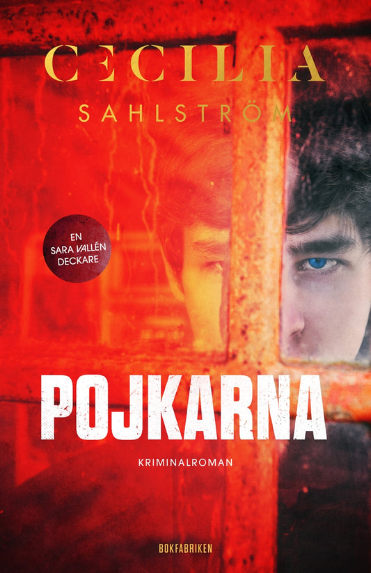 Pojkarna – E-bok
