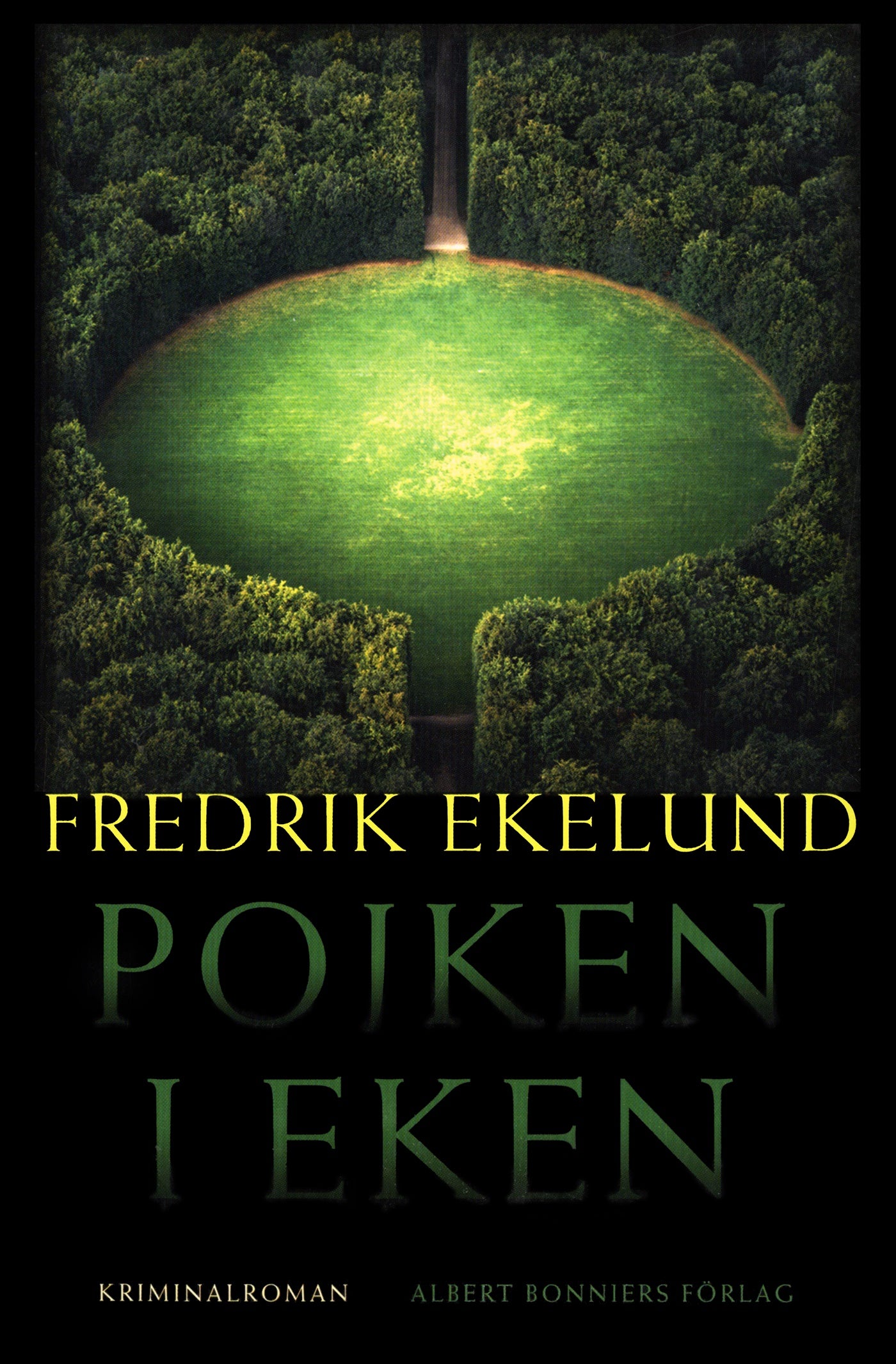 Pojken i eken – E-bok