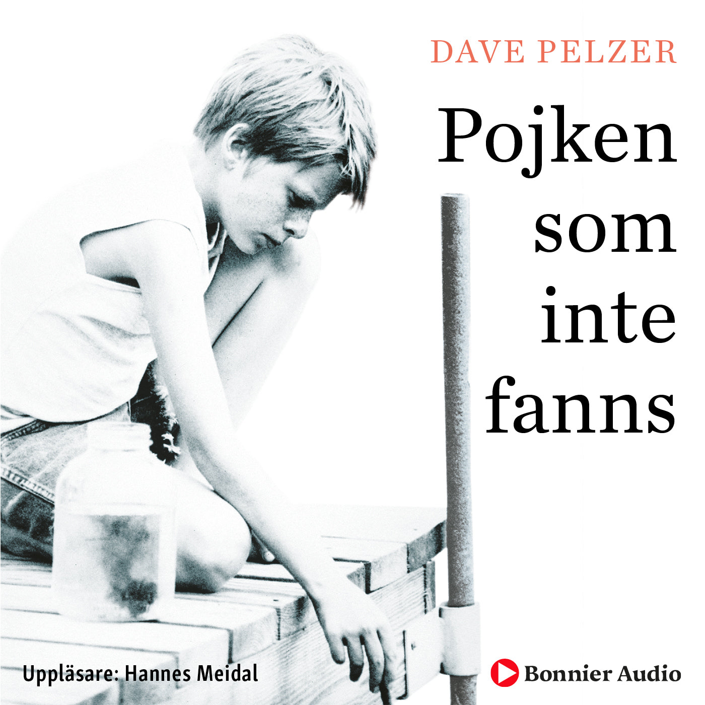 Pojken som inte fanns – Ljudbok