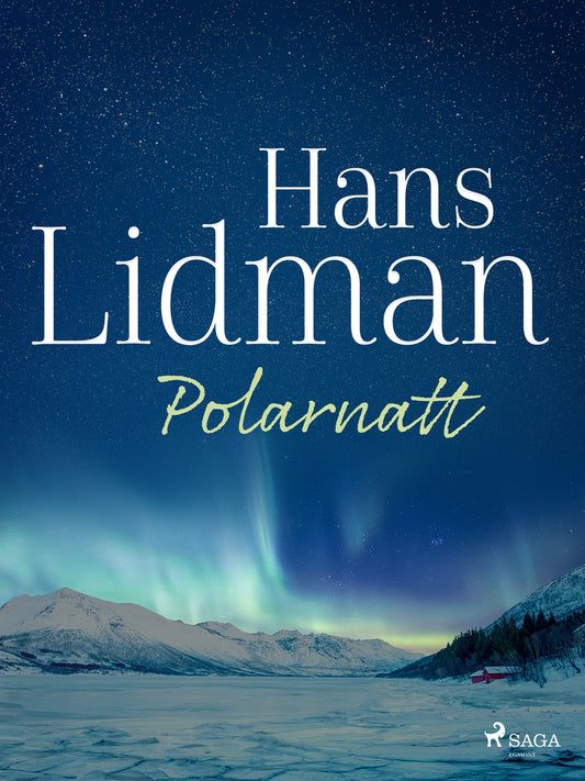 Polarnatt – E-bok