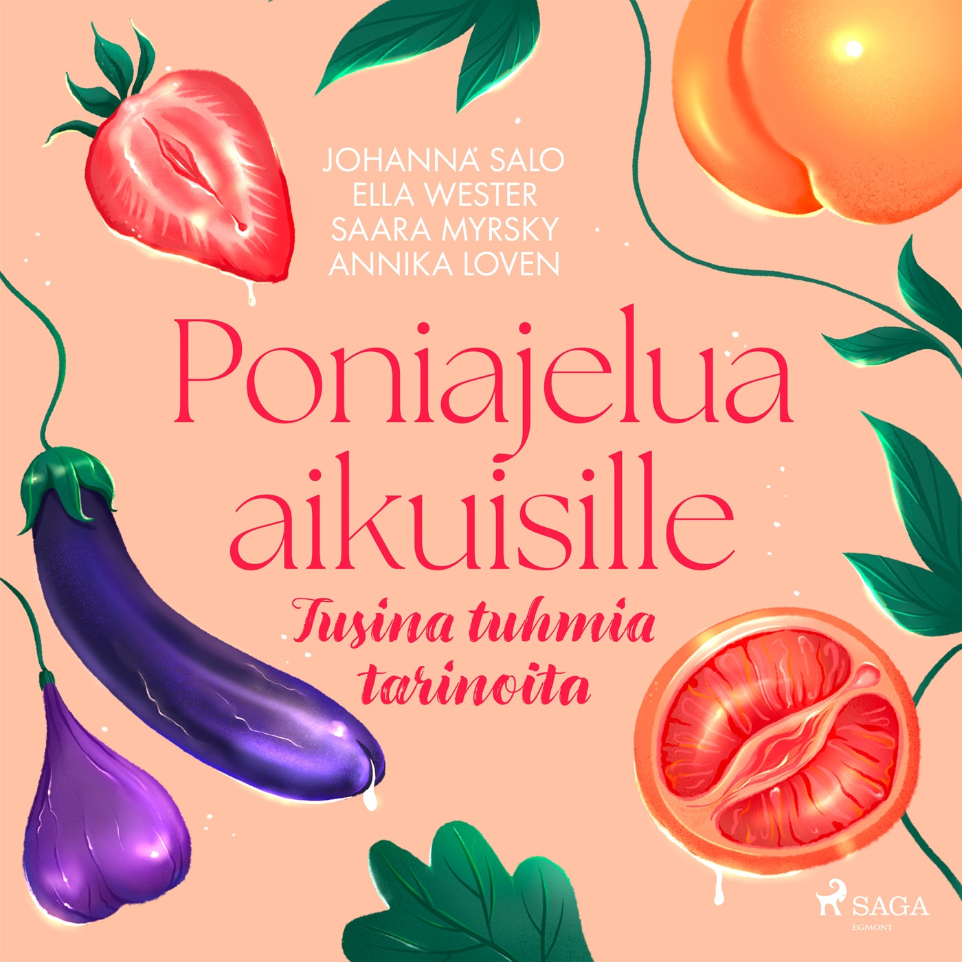 Poniajelua aikuisille – Tusina tuhmia tarinoita – Ljudbok