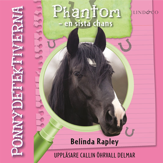 Ponnydetektiverna. Phantom - en sista chans – Ljudbok