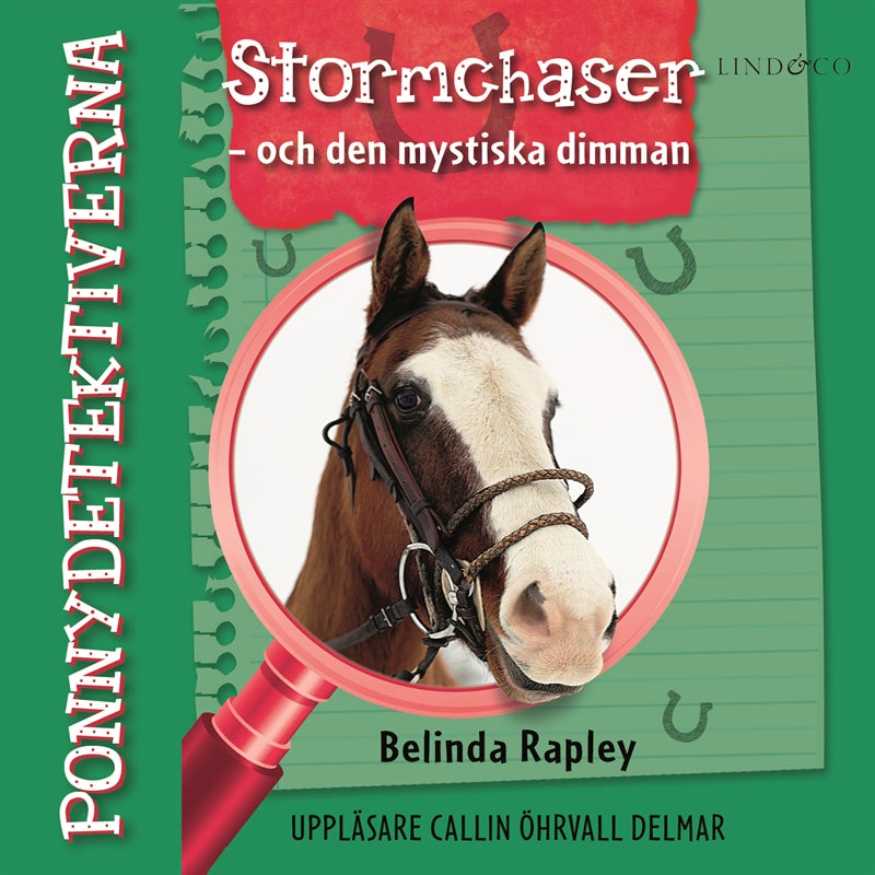 Ponnydetektiverna. Stormchaser - och den mystiska dimman – Ljudbok