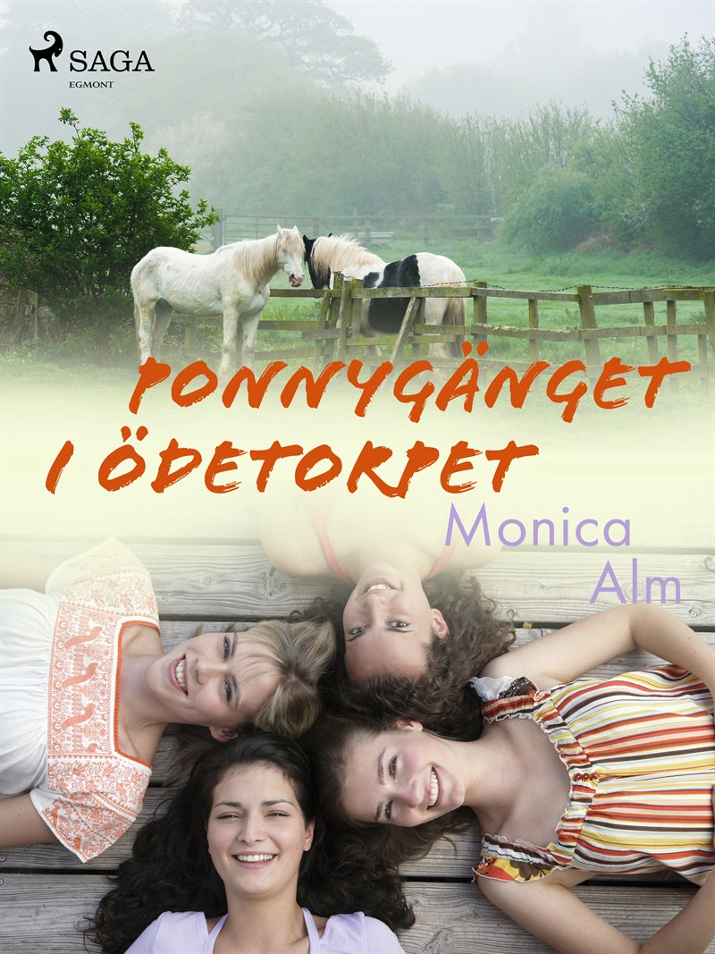 Ponnygänget i ödetorpet – E-bok