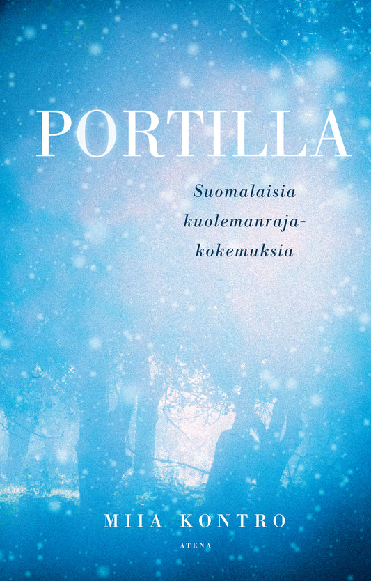 Portilla – E-bok