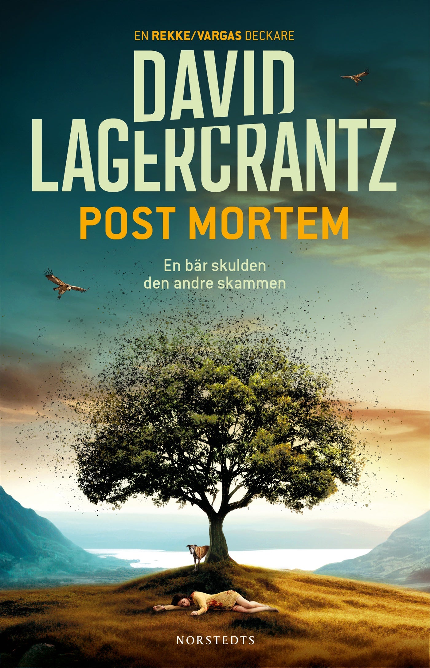 Post Mortem – E-bok