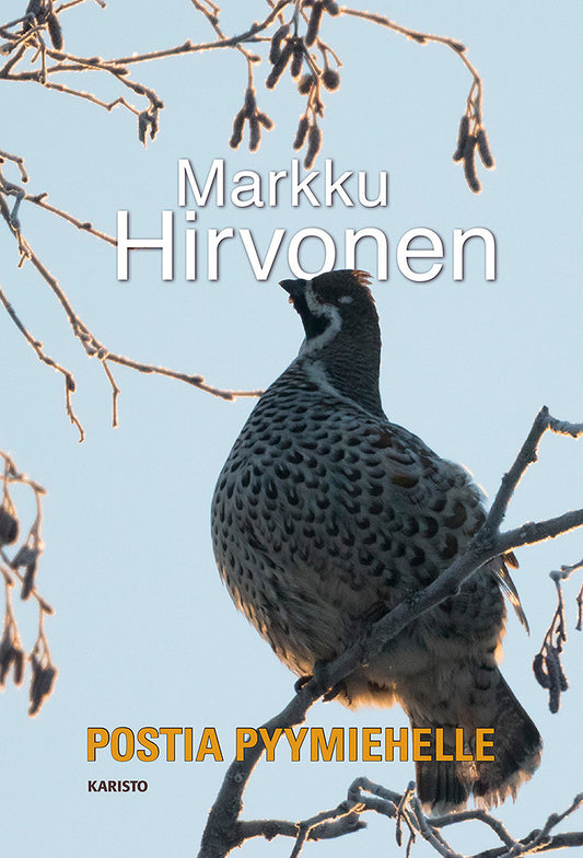 Postia pyymiehelle – E-bok