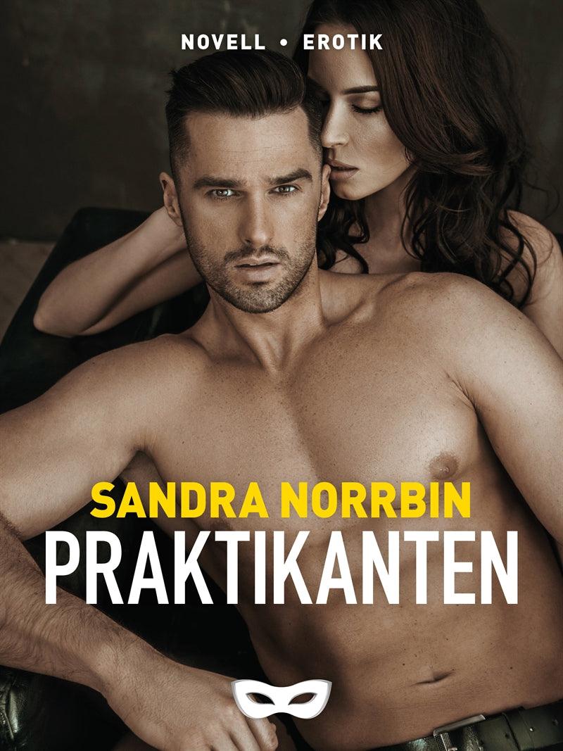 Praktikanten – E-bok