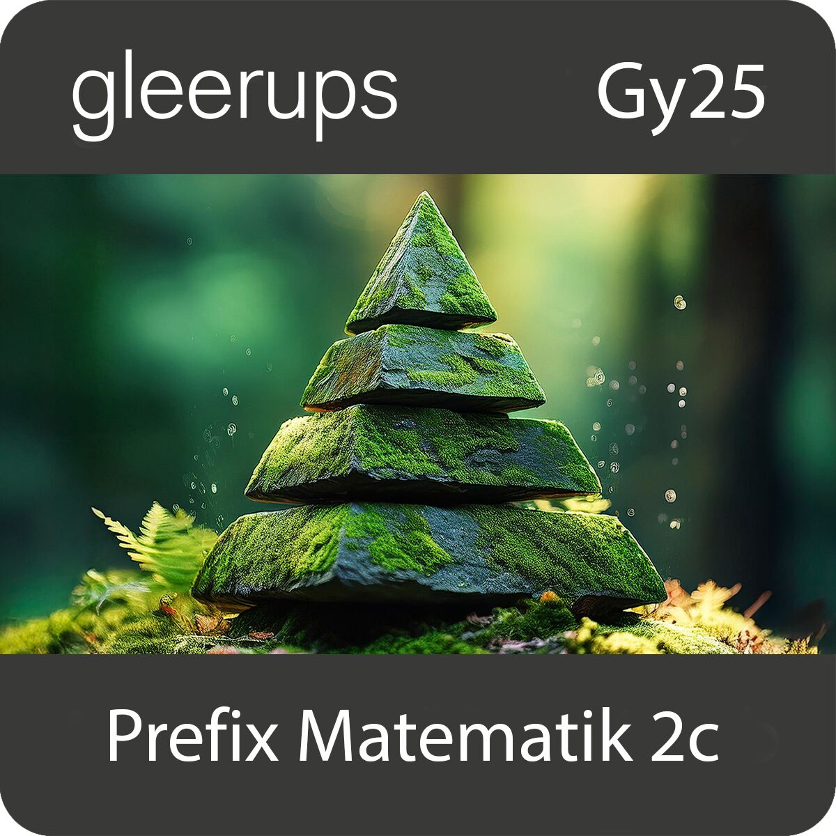 Prefix matematik 2c, digitalt läromedel, elev, 12 mån, Gy25
