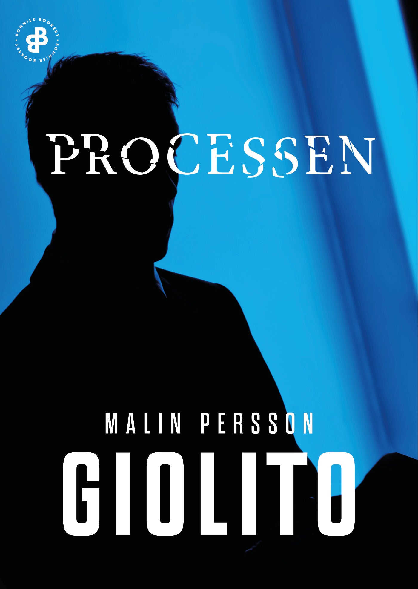 Processen – E-bok