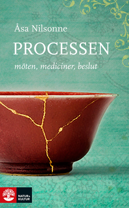 Processen : Möten, mediciner, beslut – E-bok