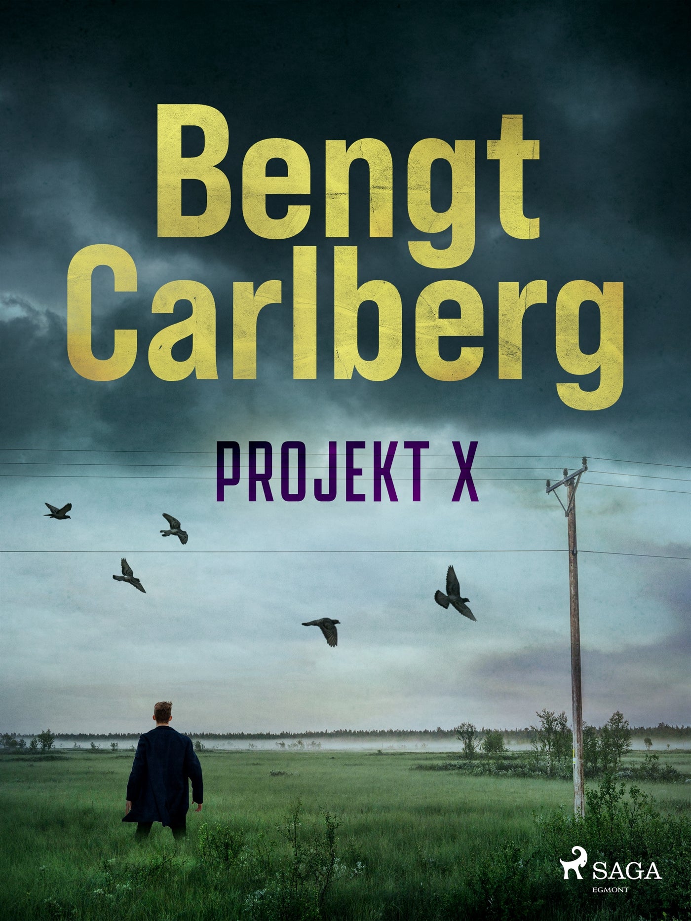 Projekt X – E-bok