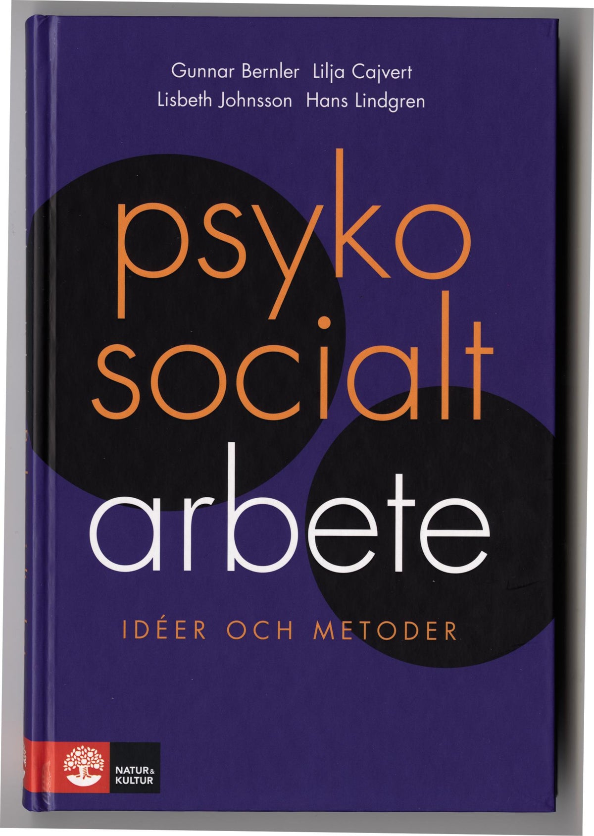 Psykosocialt arbete – E-bok