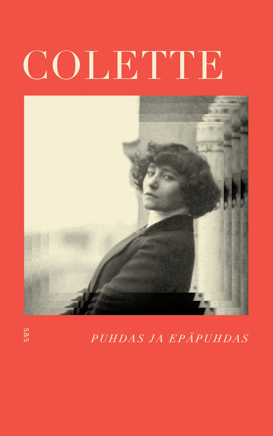 Puhdas ja epäpuhdas – E-bok