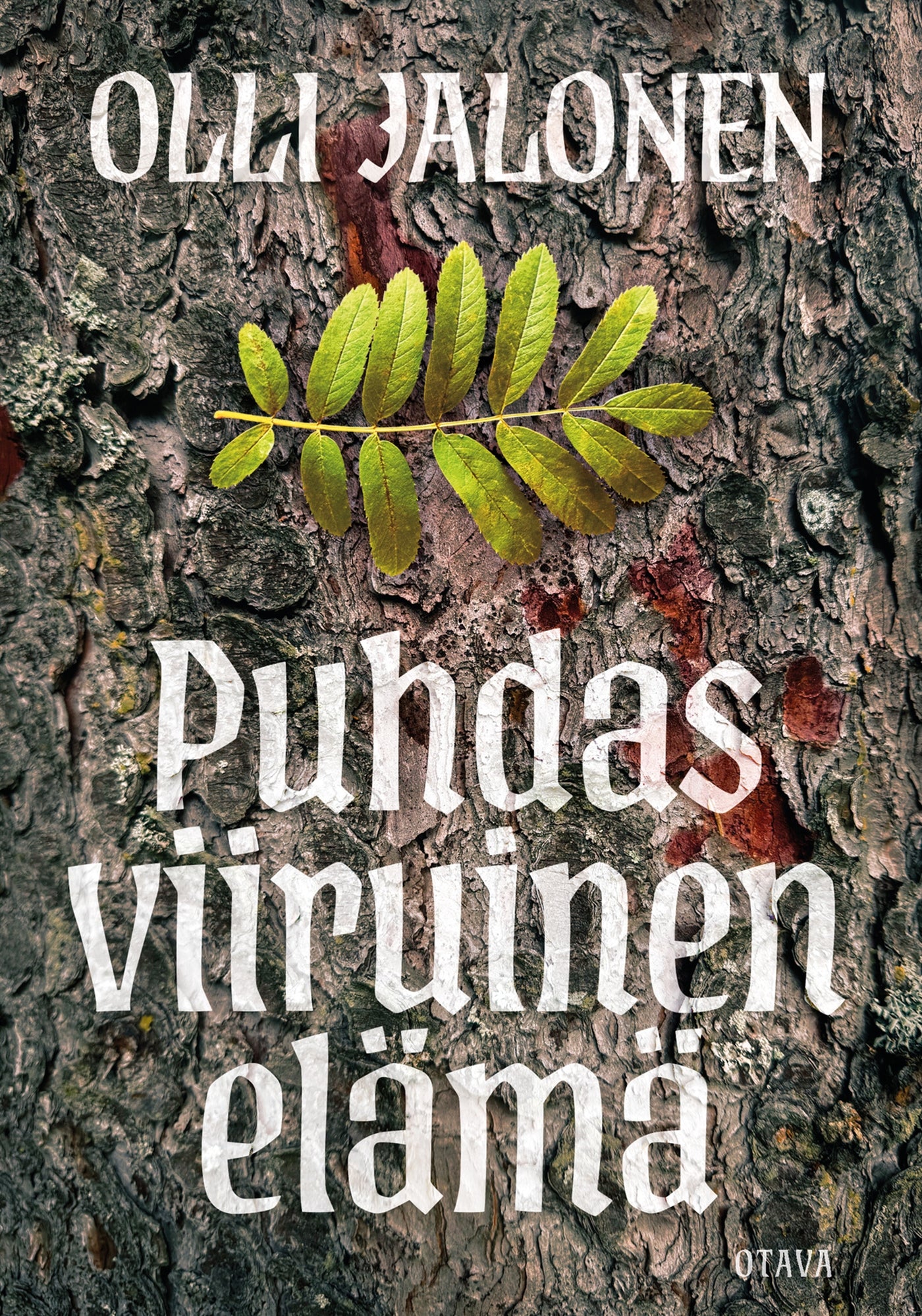 Puhdas viiruinen elämä – E-bok