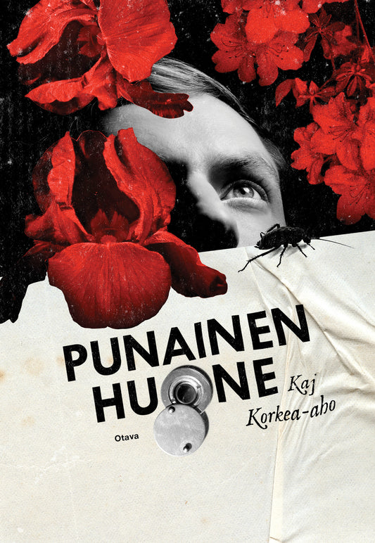 Punainen huone – E-bok