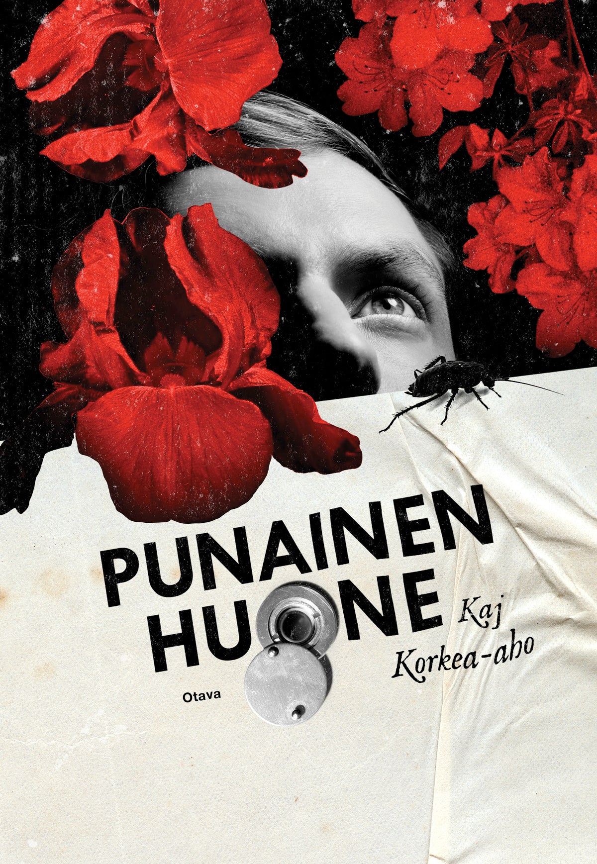 Punainen huone – E-bok