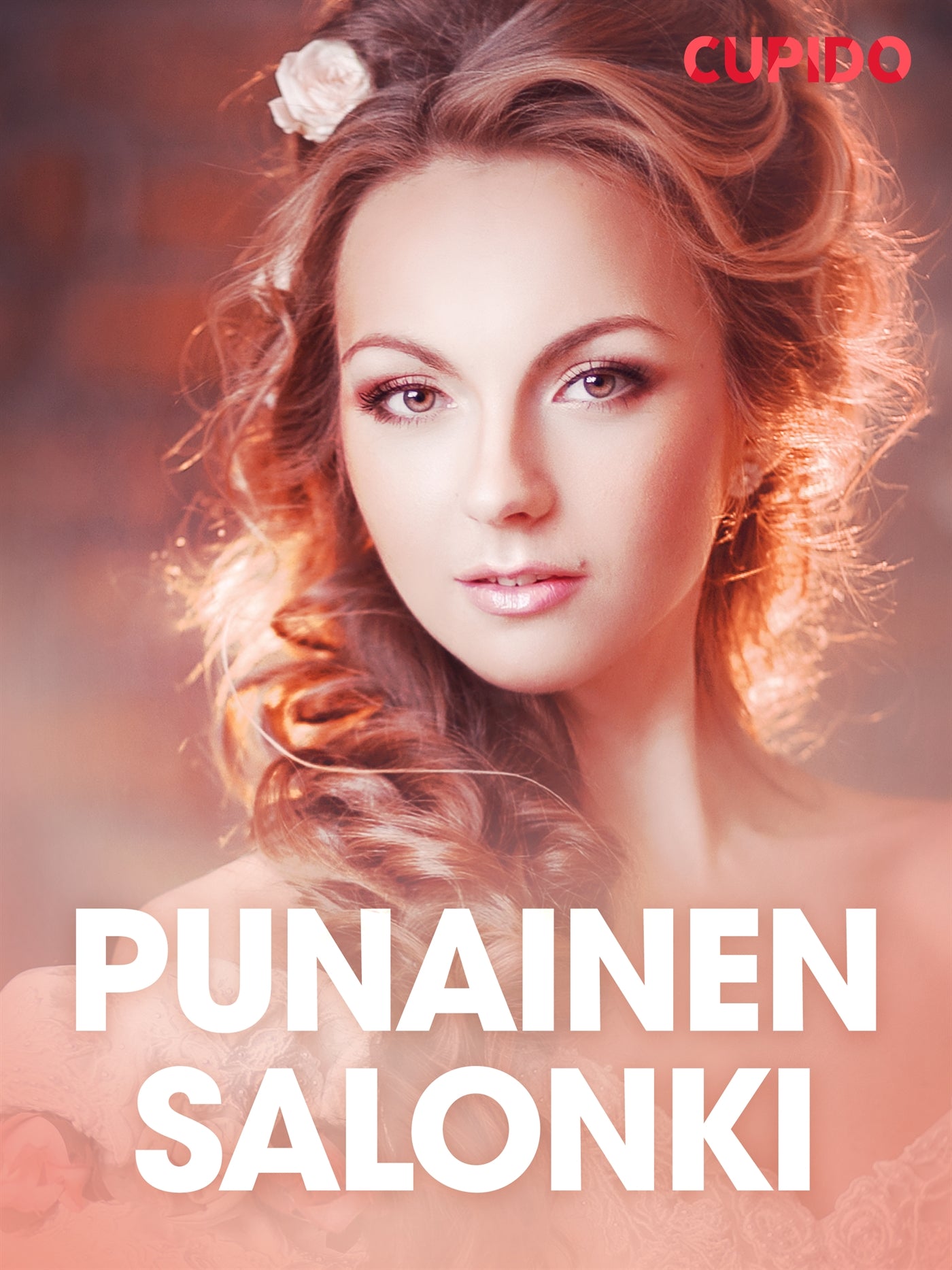 Punainen salonki – erootinen novelli – E-bok