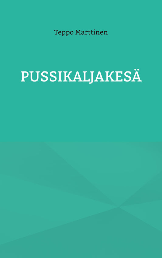 Pussikaljakesä – E-bok