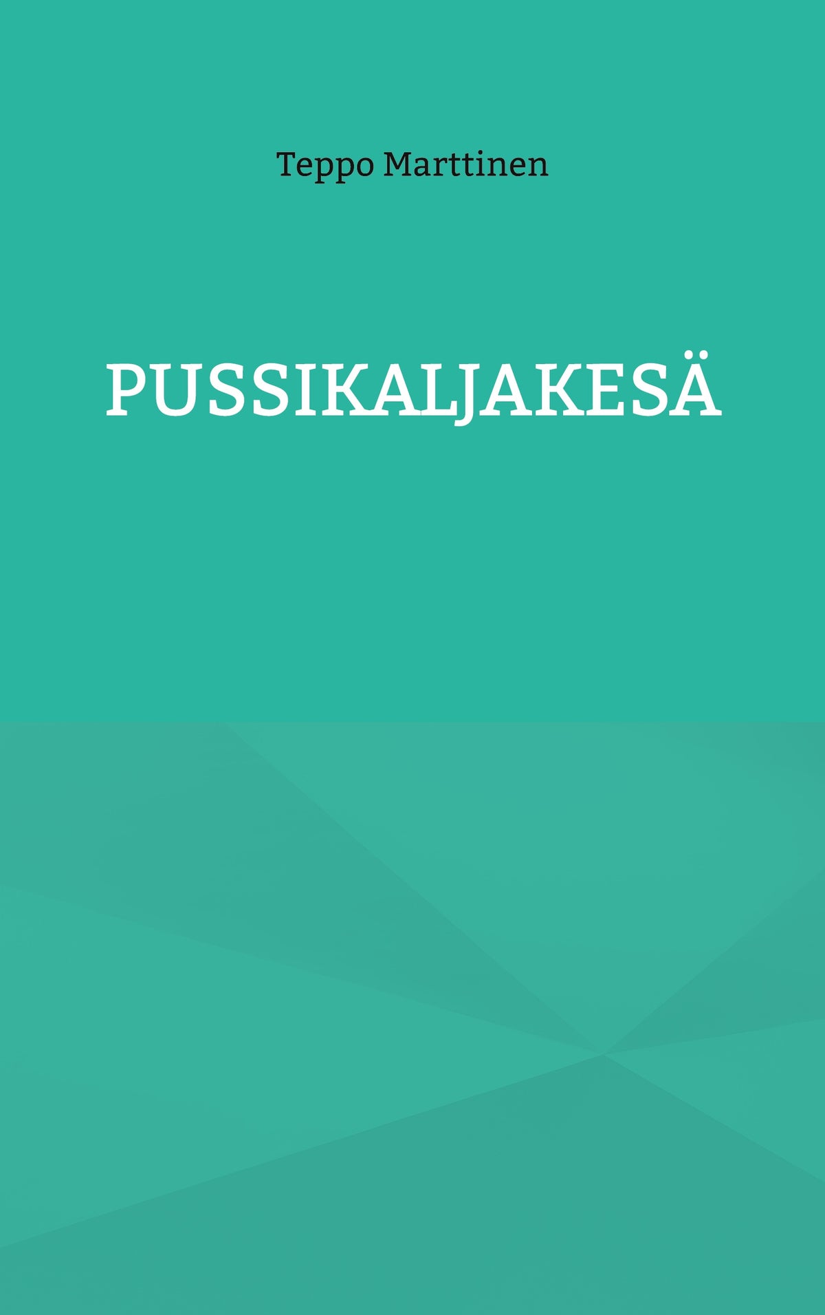 Pussikaljakesä – E-bok