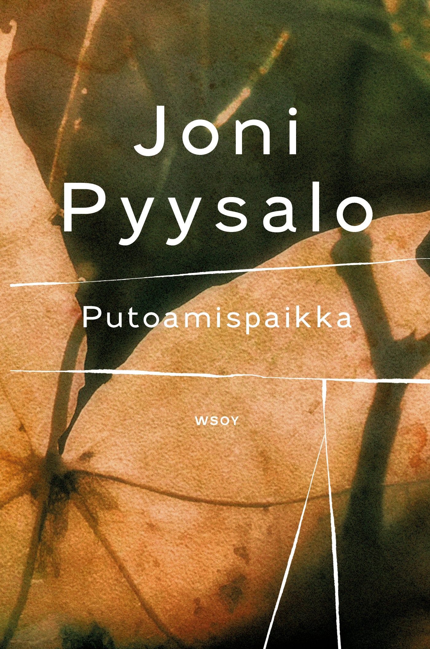 Putoamispaikka – E-bok