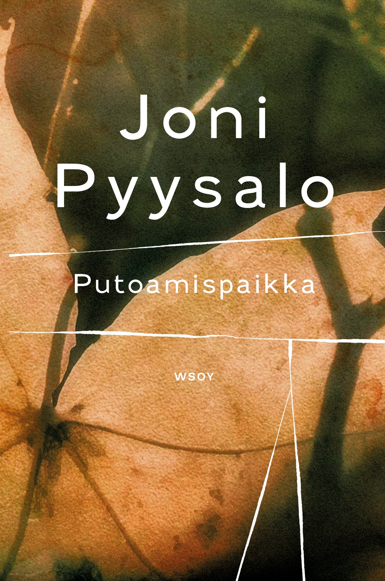 Putoamispaikka – E-bok