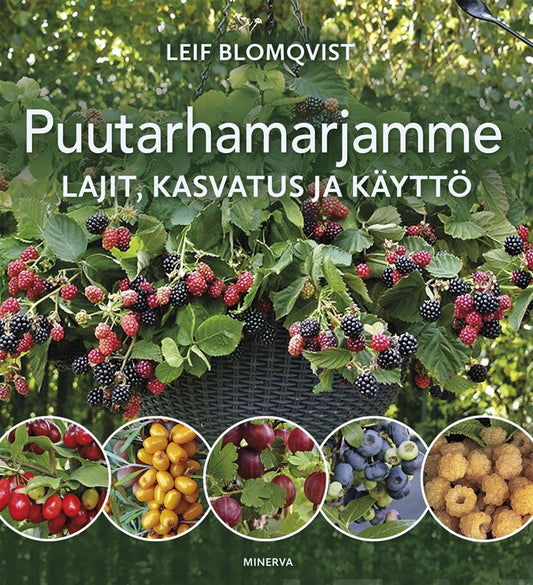 Puutarhamarjamme – E-bok