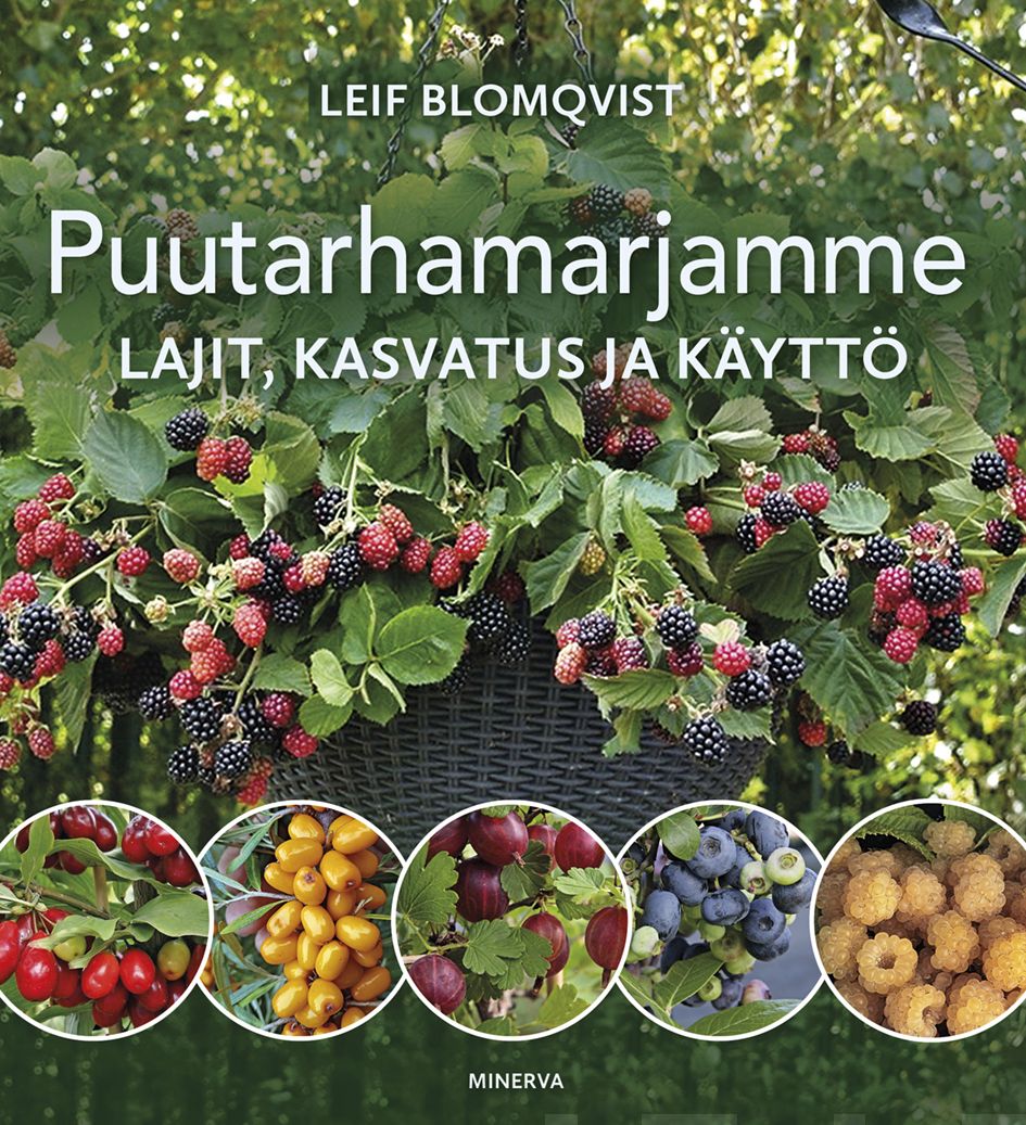Puutarhamarjamme – E-bok