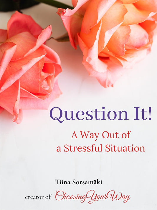 Question It! A Way Out of a Stressful Situation – E-bok