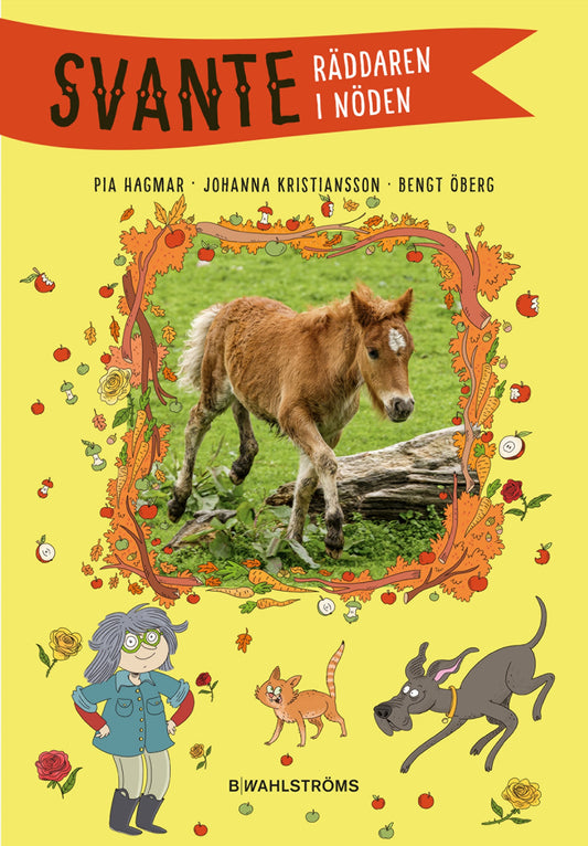 Räddaren i nöden – E-bok