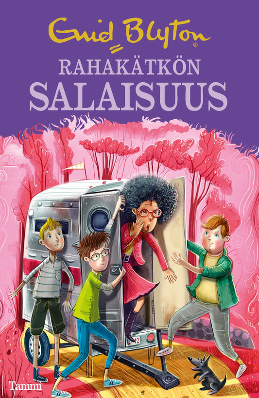 Rahakätkön salaisuus – E-bok