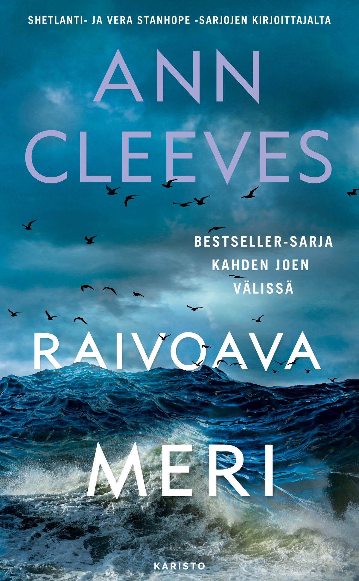 Raivoava meri – E-bok