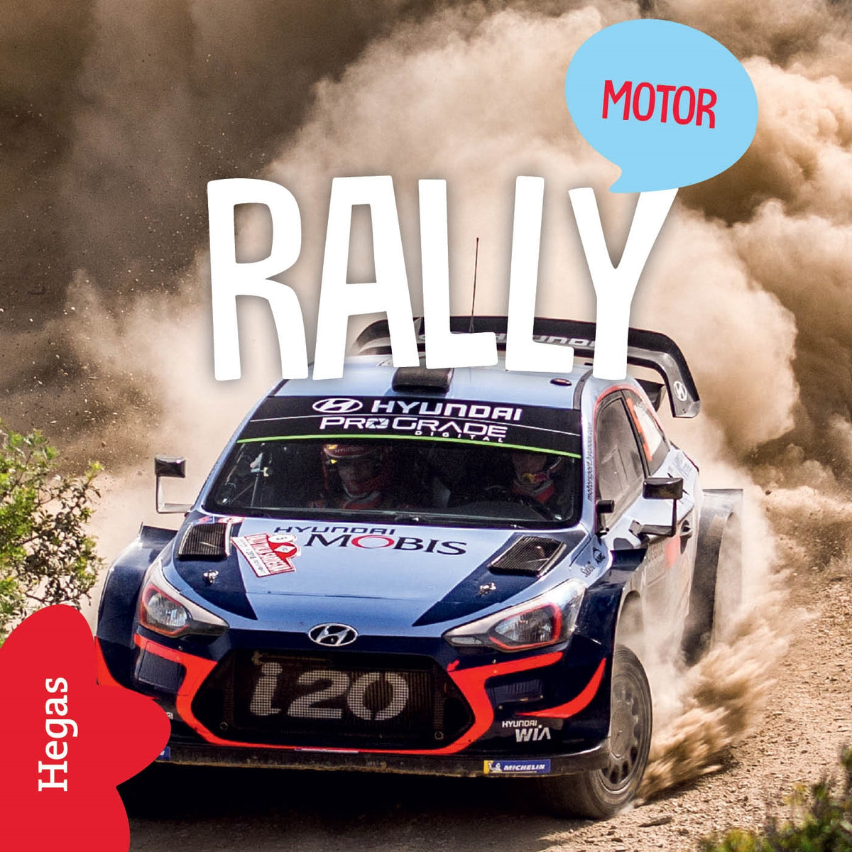 Rally – Ljudbok