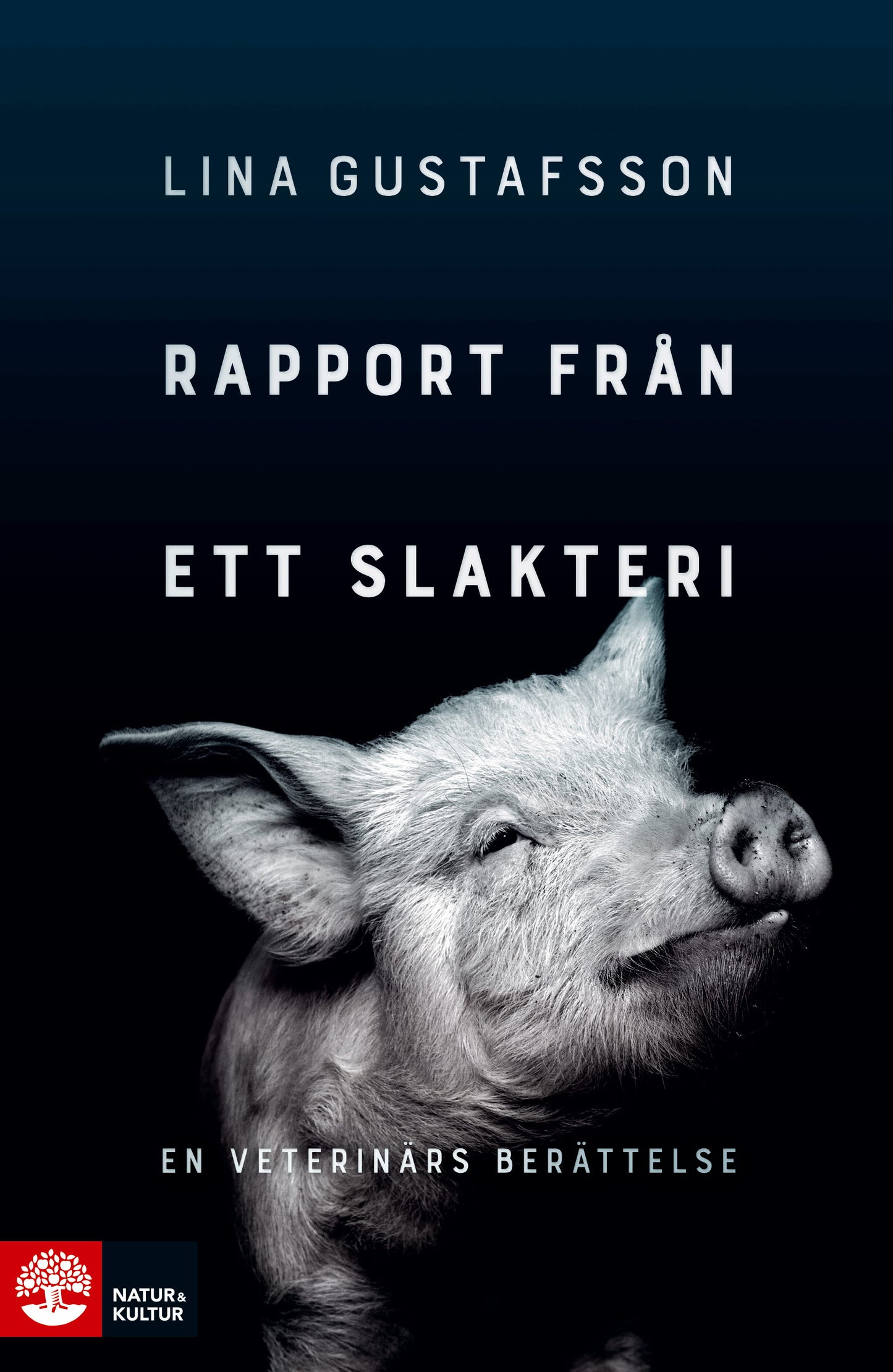 Rapport från ett slakteri : en veterinärs berättelse – E-bok