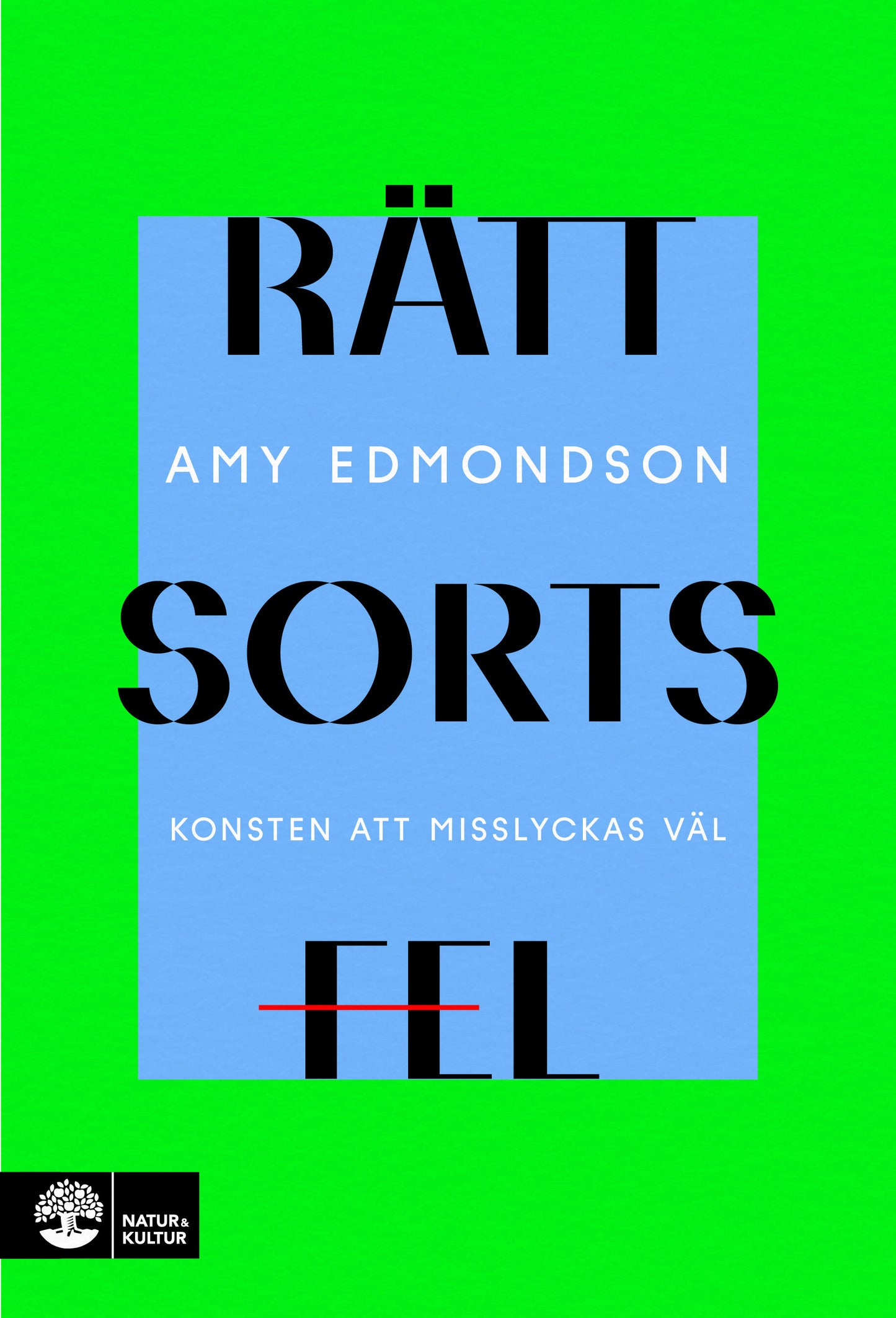 Rätt sorts fel : konsten att misslyckas väl – E-bok