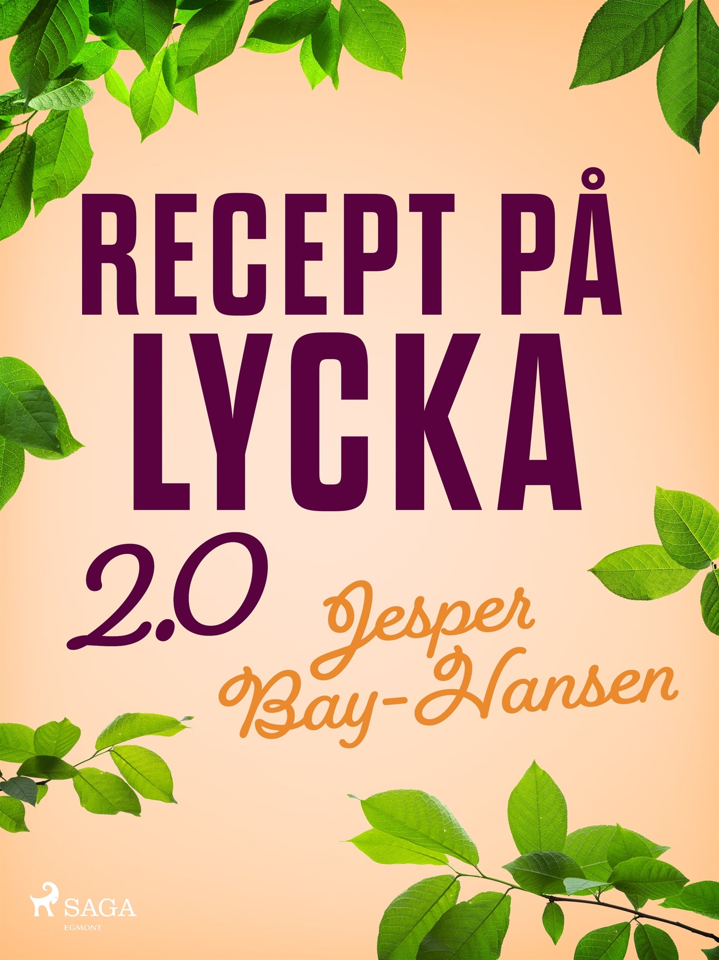 Recept på lycka 2.0 – E-bok