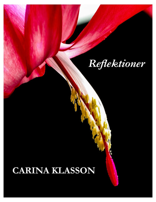 Reflektioner – E-bok